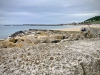 Lyme Regis, Dorset [27/06/2023]