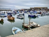 Lyme Regis, Dorset [27/06/2023]