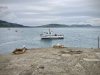 Lyme Regis, Dorset [27/06/2023]