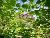 Mossley Old Hall, Staffordshire [25/06/2023]