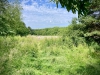 Mossley Old Hall, Staffordshire [25/06/2023]