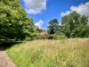 Tyntesfield, Somerset [29/06/2023]