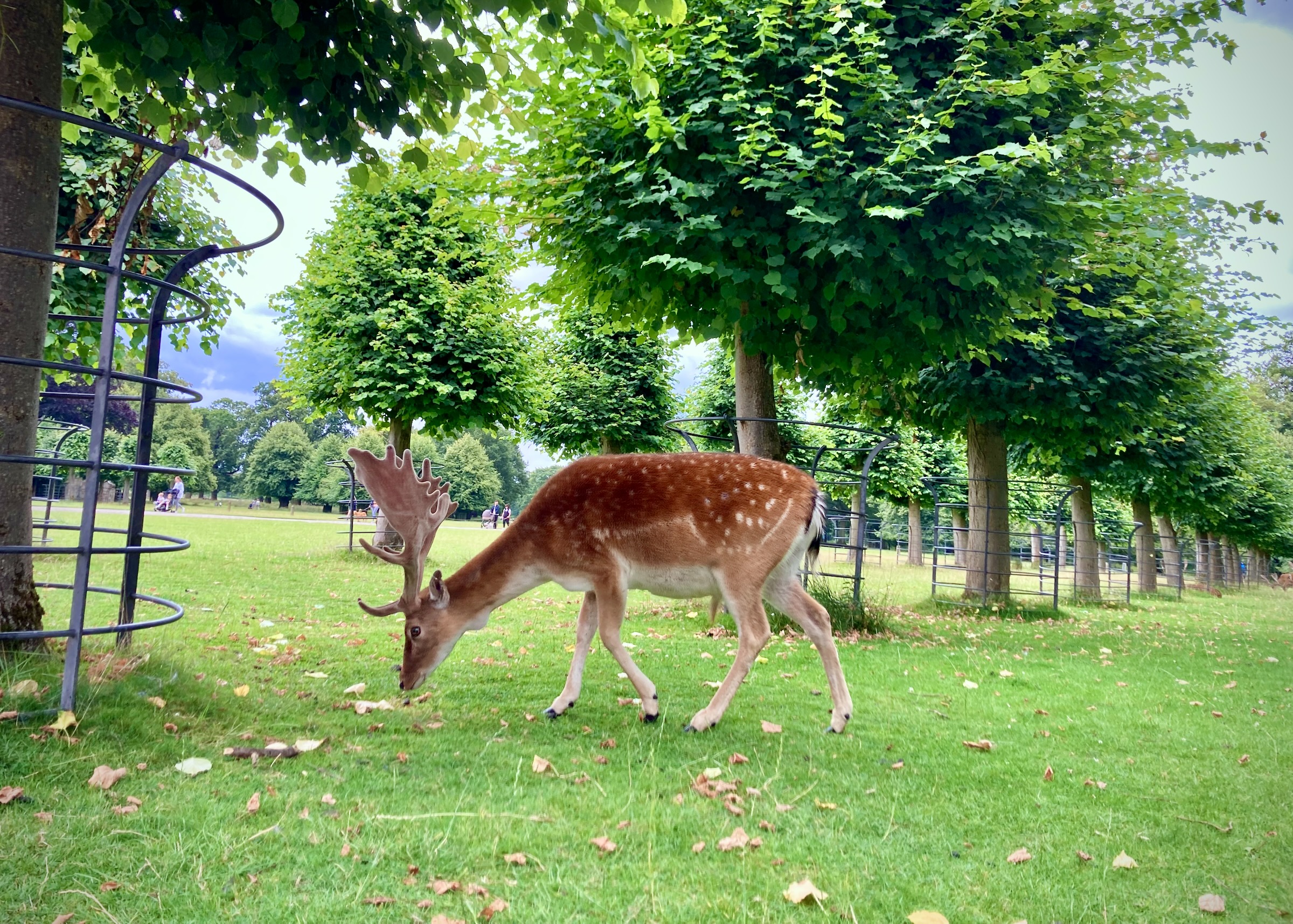 Dunham Massey, Altrincham