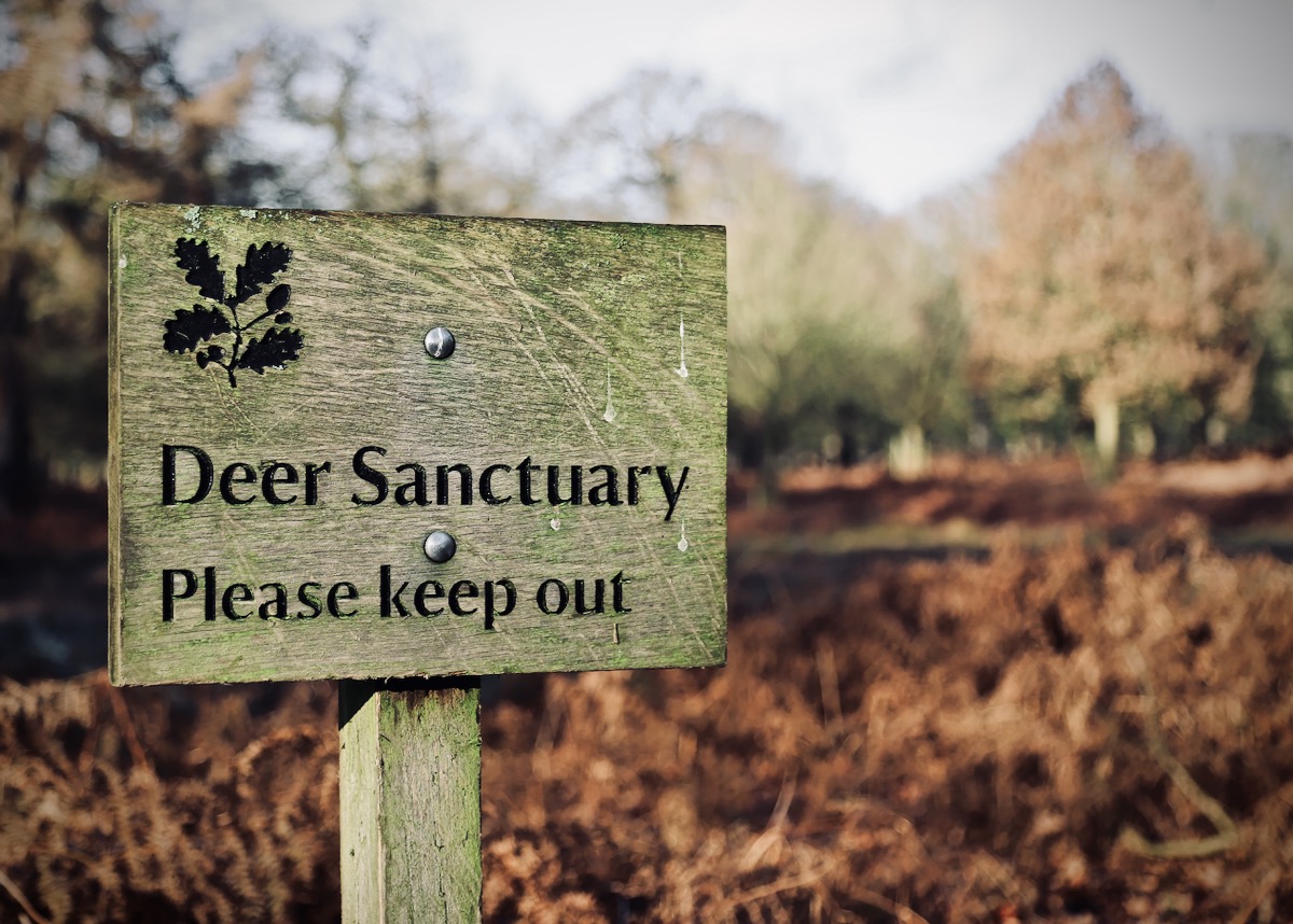 Deer Sanctuary sign