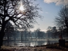 Dunham Massey Winter Walk [01/12/2019]