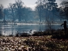 Dunham Massey Winter Walk [01/12/2019]