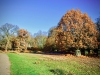 Dunham Massey Winter Walk [01/12/2019]