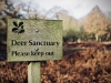 Dunham Massey Winter Walk [01/12/2019]