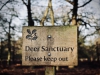 Dunham Massey Winter Walk [01/12/2019]