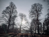 Dunham Massey Winter Walk [01/12/2019]