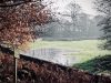 Dunham Massey Winter Walk [01/12/2019]