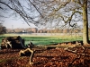 Dunham Massey Winter Walk [01/12/2019]