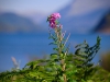 Ennerdale Water [25/08/2019]