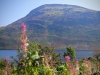 Ennerdale Water [25/08/2019]