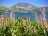 Ennerdale Water [25/08/2019]