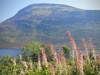 Ennerdale Water [25/08/2019]