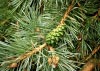 Formby Nature Walk 21/08/2016