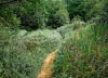 Formby Nature Walk 21/08/2016