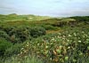 Formby Nature Walk 21/08/2016