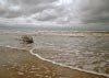 Formby Nature Walk 21/08/2016