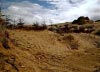 Formby Nature Walk 21/08/2016