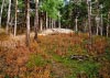 Formby Nature Walk 21/08/2016