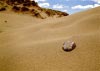 Formby Beach, 15th May 2016