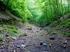 Harecastle Tunnel & Abandoned Railway