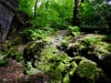 Harecastle Tunnel & Abandoned Railway