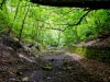 Harecastle Tunnel & Abandoned Railway