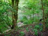 Harecastle Tunnel & Abandoned Railway