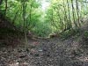 Harecastle Tunnel & Abandoned Railway