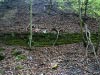 Harecastle Tunnel & Abandoned Railway