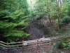 Harecastle Tunnel & Abandoned Railway