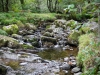 Aira Force & Gowbarrow Fell [28/09/2020]