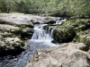 Aira Force & Gowbarrow Fell [28/09/2020]