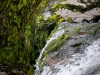 Aira Force & Gowbarrow Fell [28/09/2020]