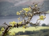 Aira Force & Gowbarrow Fell [28/09/2020]