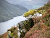 Aira Force & Gowbarrow Fell [28/09/2020]