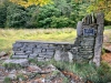 Brant Fell, Bowness-on-Windermere [25/09/2020]