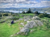 Brant Fell, Bowness-on-Windermere [25/09/2020]