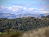 Brant Fell, Bowness-on-Windermere [25/09/2020]