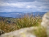 Brant Fell, Bowness-on-Windermere [25/09/2020]