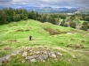 Brant Fell, Bowness-on-Windermere [25/09/2020]