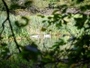 Brant Fell, Bowness-on-Windermere [25/09/2020]