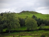 Brant Fell, Bowness-on-Windermere [25/09/2020]