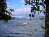 Brant Fell, Bowness-on-Windermere [25/09/2020]