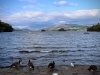 Brant Fell, Bowness-on-Windermere [25/09/2020]