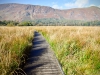 Cat Bells & Derwent Water [29/09/2020]