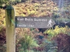 Cat Bells & Derwent Water [29/09/2020]